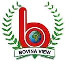 bovina view